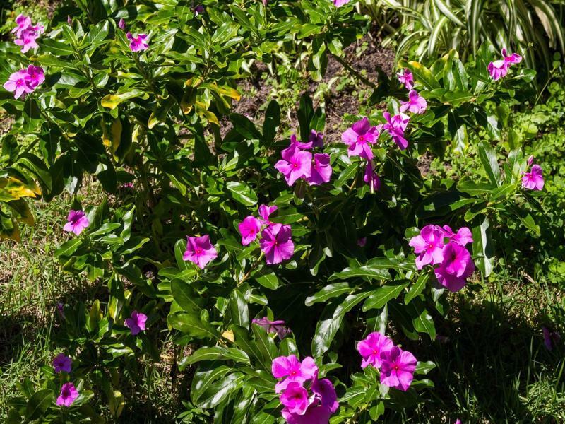 Pousada Buzios Garden ภายนอก รูปภาพ